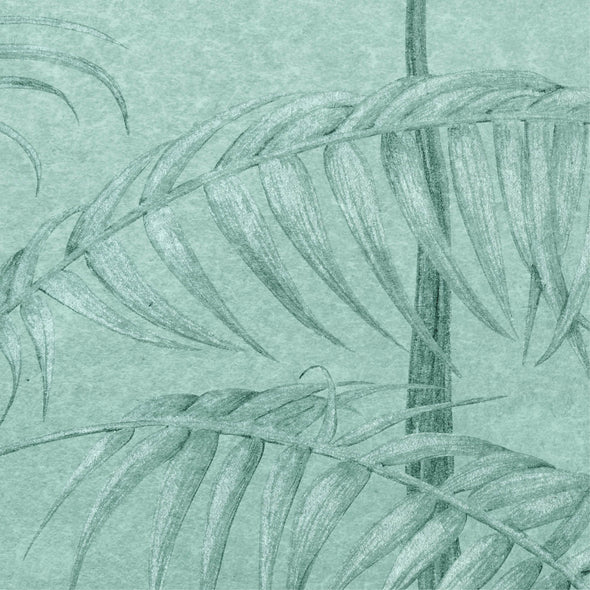 Amazonas Wallpaper