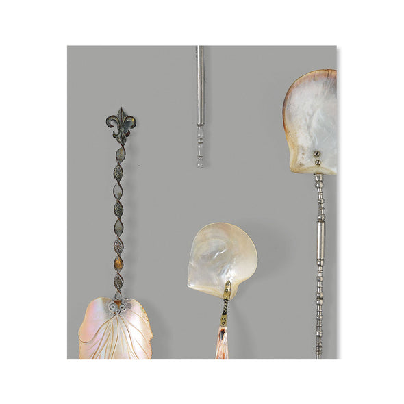 DRO-06 Obsession Wallpaper Sample Swatch