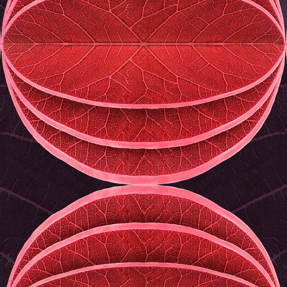 Hidden Fruits Wallpaper