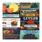 Labels Fruit & Vegetables Wallpaper Sample Swatch