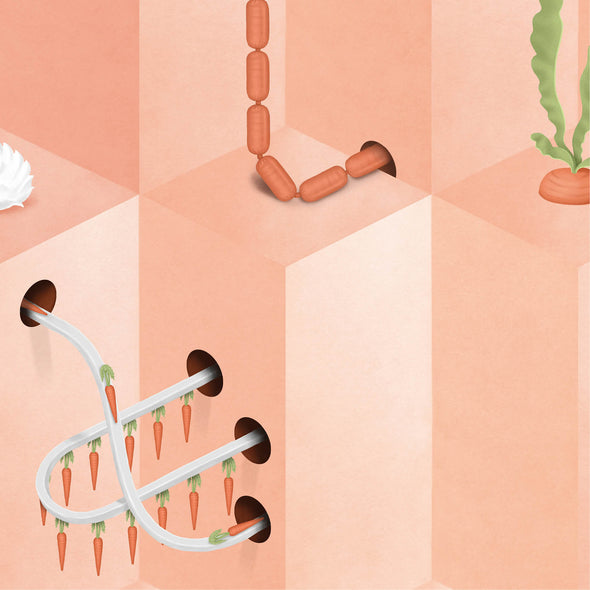 Pink Carrot Wallpaper