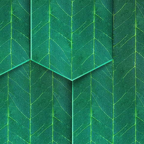 Rainy Woods Wallpaper