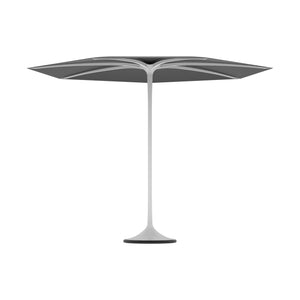 Palma Umbrella