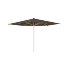 Shady Square Umbrella with Teak Ribs
