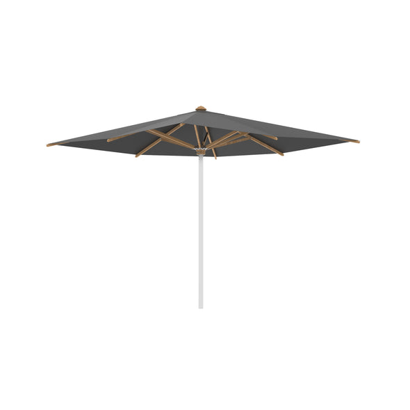 Shady Square Umbrella with Teak Ribs