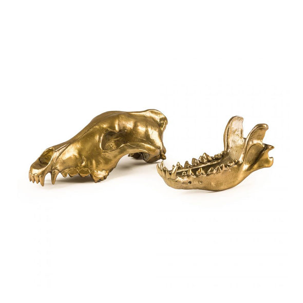 Wunderkammer Wolf Skull
