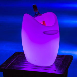 Fresh Illuminated Bluetooth LED Outdoor Ice Bucket