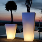 Rumba Illuminated Bluetooth LED Outdoor Pot Plant