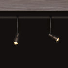 Sean Lavin Ace Task Head Light