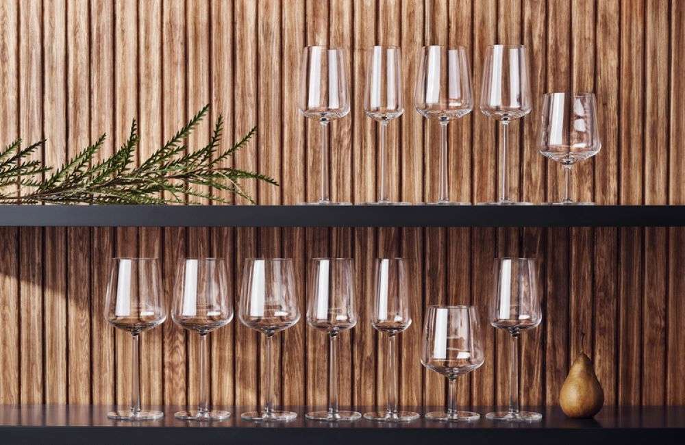 Top 10 Champagne Glasses  Ready To Sparkle