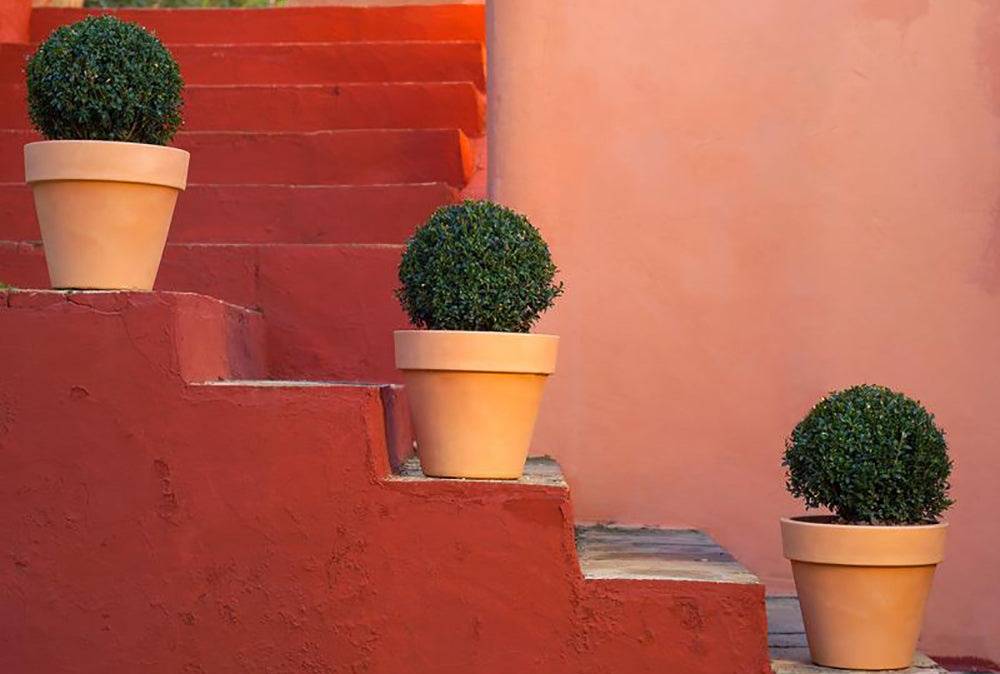 Top 16 Front Porch Planter Ideas