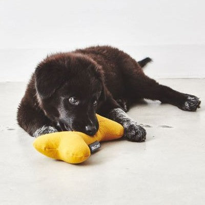 Dog Toys