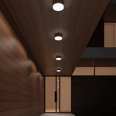 SONNEMAN Outdoor Ceiling Lights