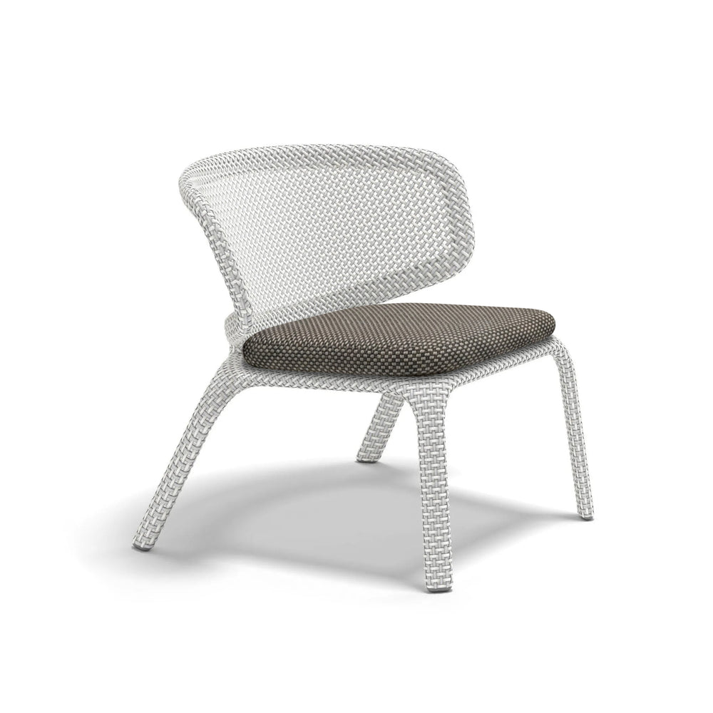 Seashell Nuo Lounge Chair