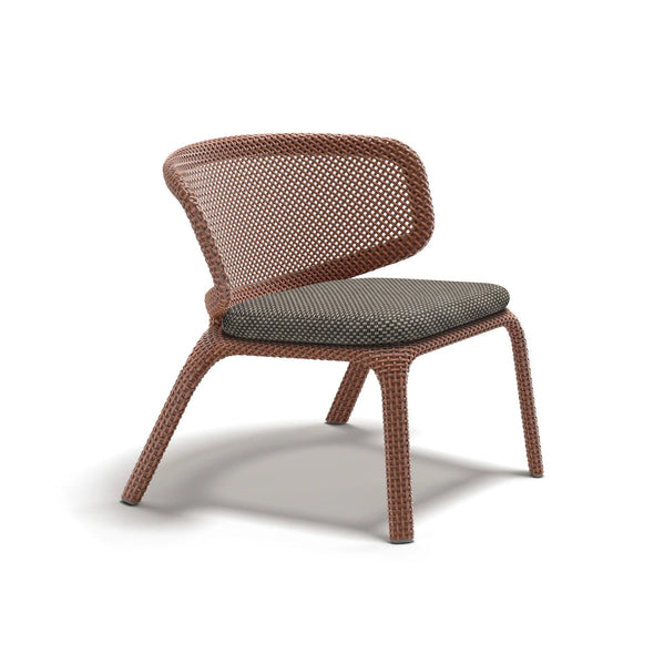 Seashell Nuo Lounge Chair