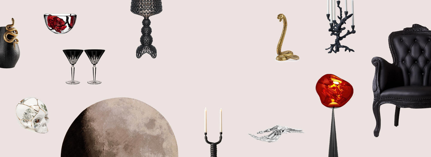 Cabinet of Curiosities