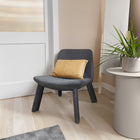 Neat Lounge Chair