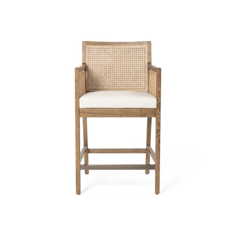 Antonia Upholstered Bar and Counter Stool