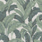 Lanai Palm Grasscloth Peel and Stick Wallpaper  option Vert