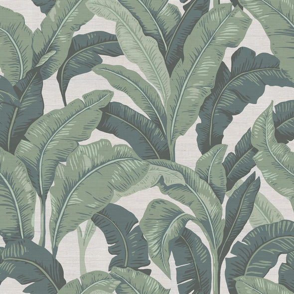 111 Mercer Lanai Palm Grasscloth Peel and Stick Wallpaper Sample Swatch ...