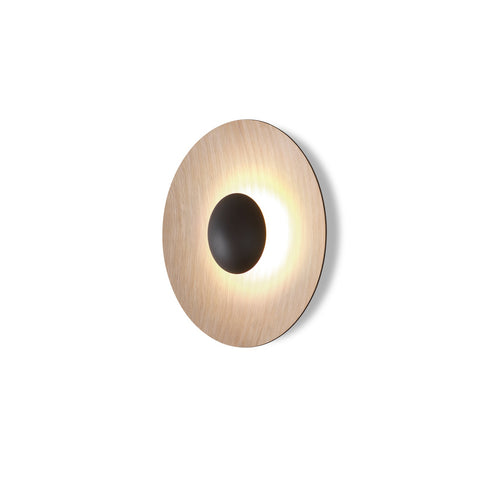Ginger LED Flush Mount Wall Light