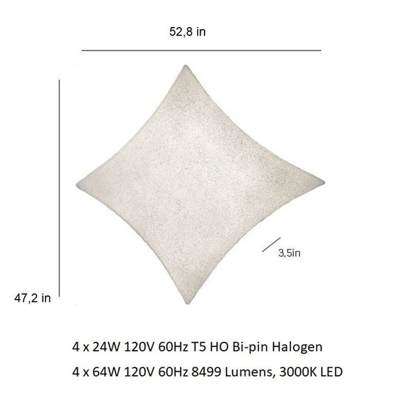 Kite Wall or Ceiling Light