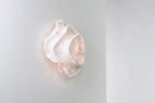 Nevo Wall or Ceiling Light