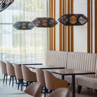 V Pendant Light