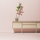 Rule 2 Door 2 Drawer Console