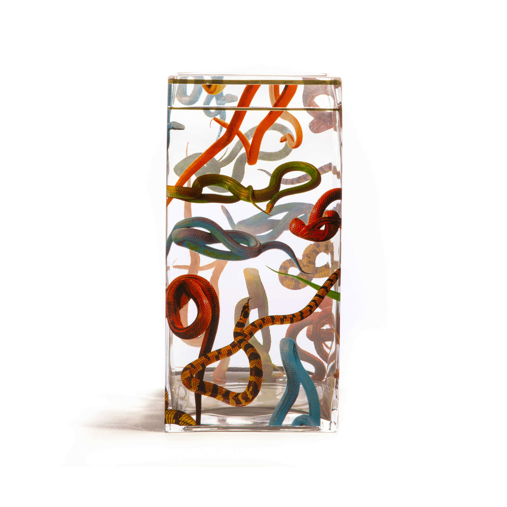 Toiletpaper Glass Vase