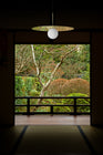 Bola Disc Pendant Light