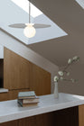 Bola Disc Pendant Light