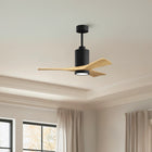 Patricia PA3 Ceiling Fan