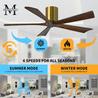 Irene H5 Small Close to Ceiling Fan