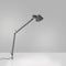 Tolomeo Midi Table Lamp  option Anthracite / In-Set Pivot