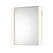 Vanity LED Vertical Mirror with Light  option Slim