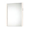 Vanity LED Vertical Mirror with Light  option Wide