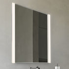 Vanity LED Vertical Mirror with Light