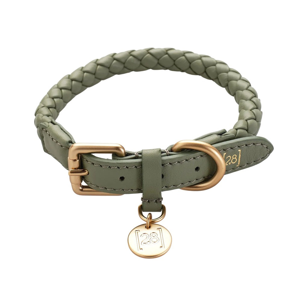 Ferdinando Dog Collar