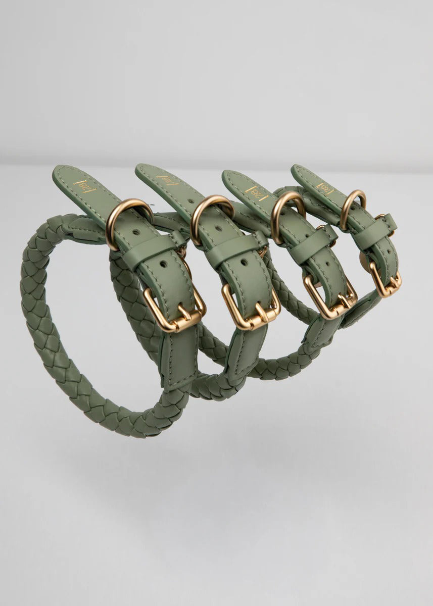 Ferdinando Dog Collar