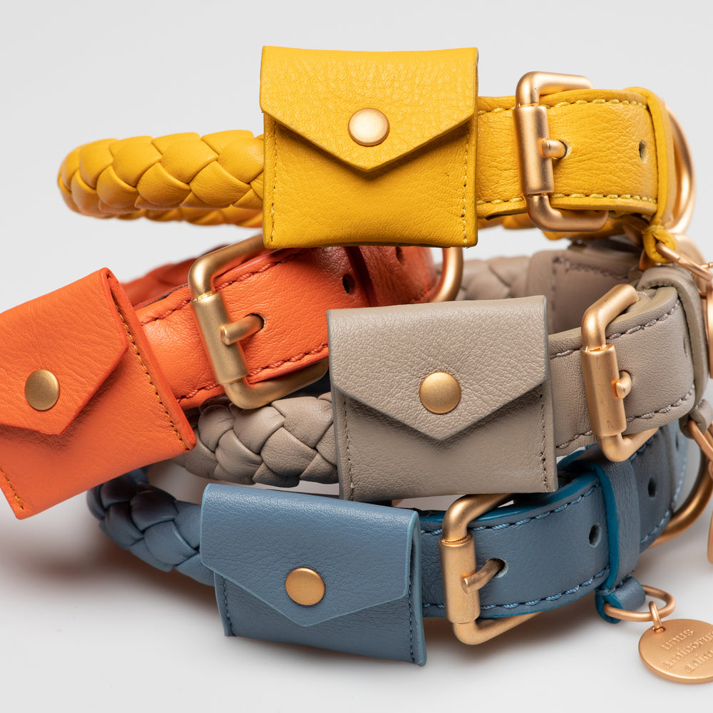 Ferdinando Dog Collar