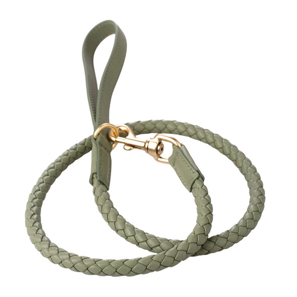 Ferdinando Dog Leash