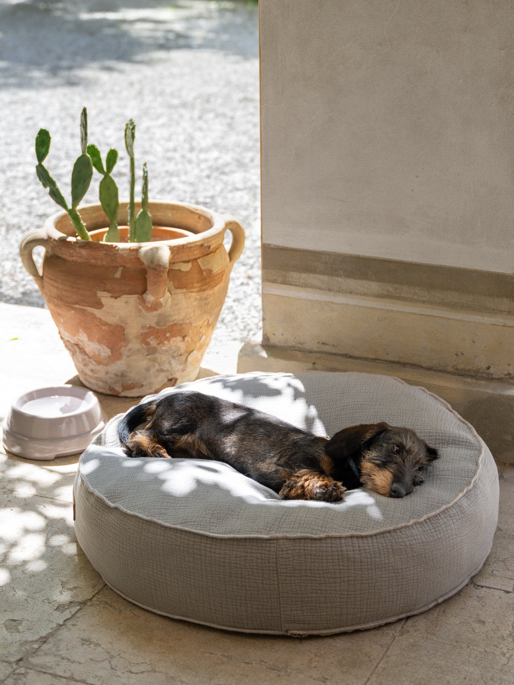 Fulvio Dog Cushion