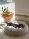 Fulvio Dog Cushion