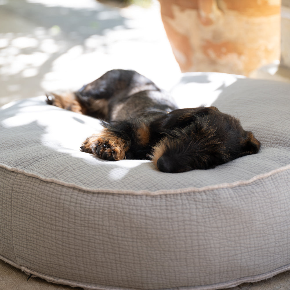 Fulvio Dog Cushion