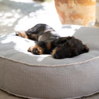 Fulvio Dog Cushion