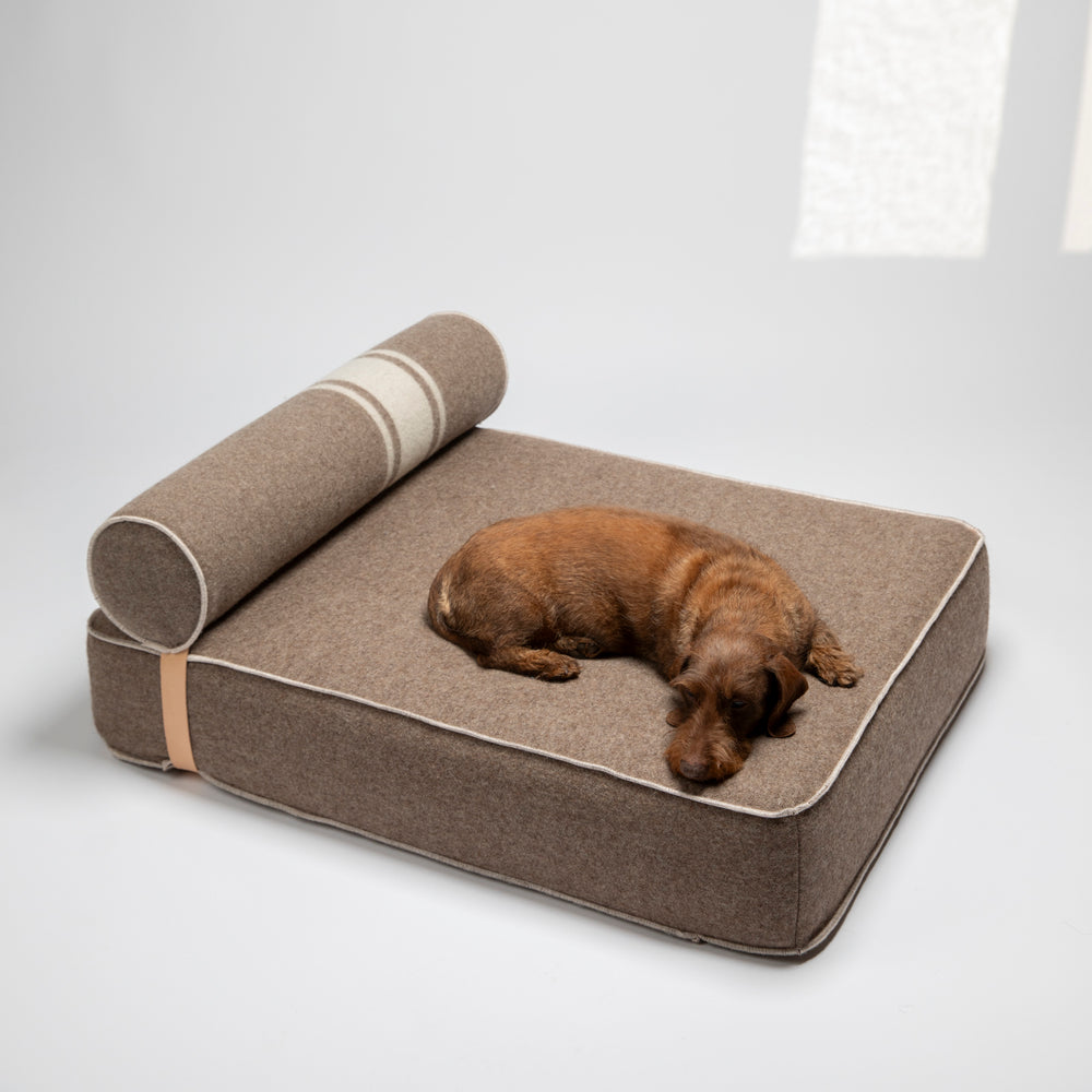 Giampaolo Daybed