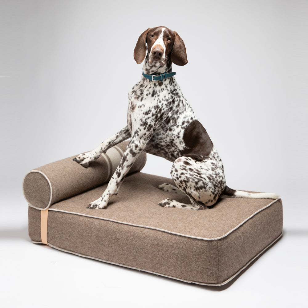 Giampaolo Daybed