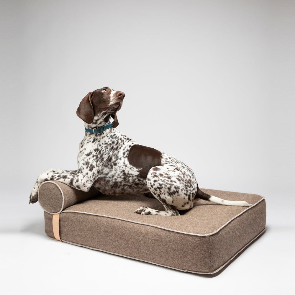 Giampaolo Daybed