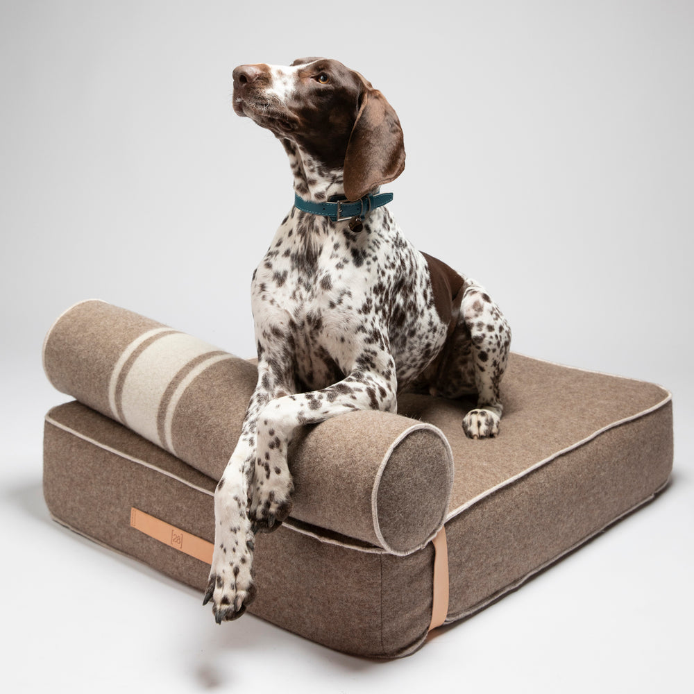 Giampaolo Daybed
